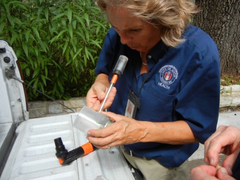 Betty Jones captures mosquitoes in Austin on June 5, 2000.